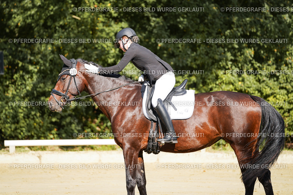 DSC08071 | Pferdegrafie