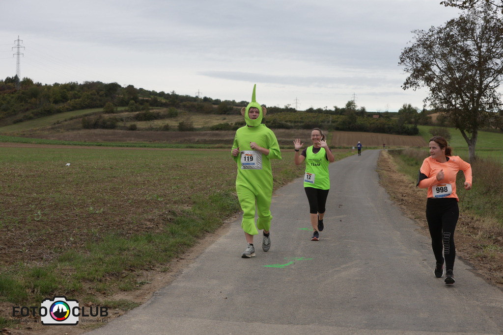 03_Winzerweg (337) | Foto Buchgraber