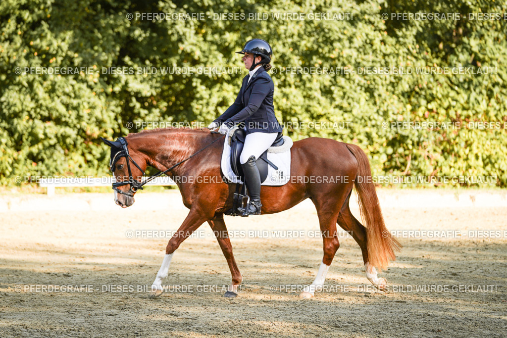 DSC06379 | Pferdegrafie