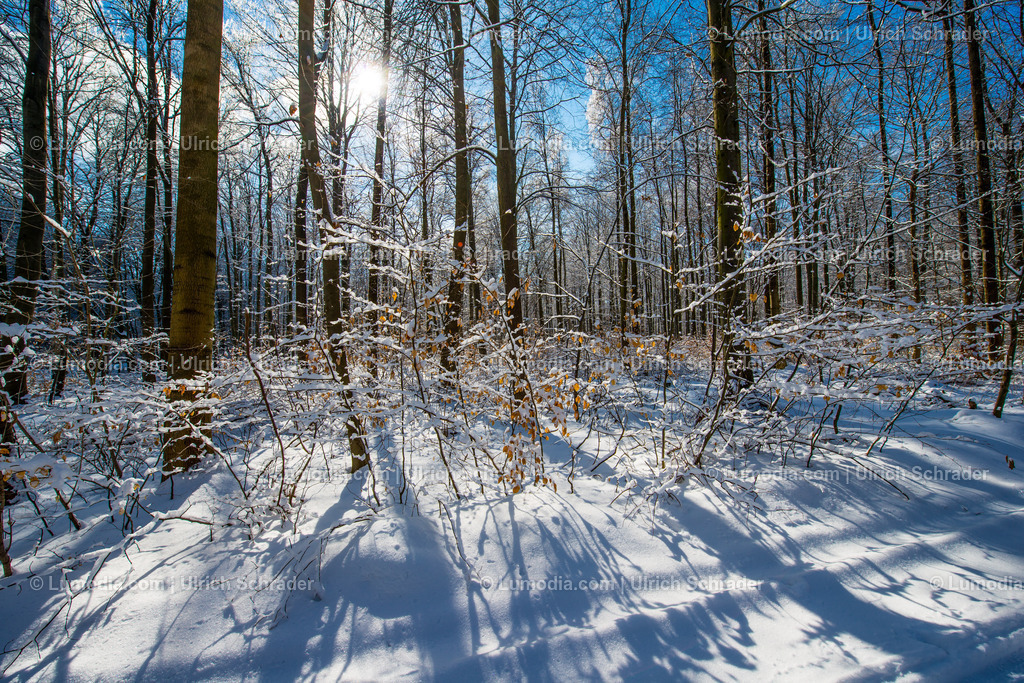 100494-3862 - Winterwald | Kalender Halberstadtwerke 2014 - Realisiert mit Pictrs.com