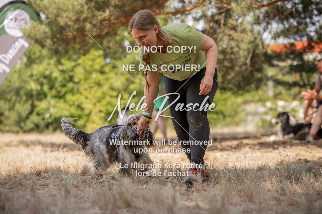 nelerasche_soDD2_356 | nelerasche