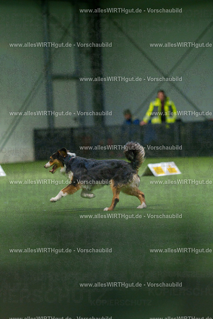 7R506924 | Professionelle Tierfotografie in Mönchengladbach von Daniel Wirth (allesWIRTHgut). Liebevolle & natürliche Bilder von Hunden & Katzen für unvergessliche Erinnerungen.