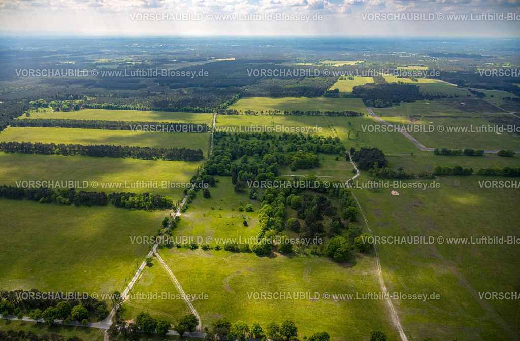 Schlangen240505135Haustenbeck_Senne | Luftbild, Senne Heidelandschaft, Holzweg Wald und Wiesen mit Baumallee, Fernsicht mit Himmel, Heimathof, Augustdorf, Ostwestfalen, Nordrhein-Westfalen, Deutschland