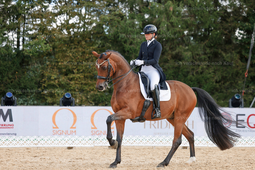 09_2-100-DRESSUR  S_  -StoibPH-5875 | working equitationturnier fotograf videograf stoibphotography marixx film working equitation deutschland reitsport turnierfotografie eventfotografie equestrian events