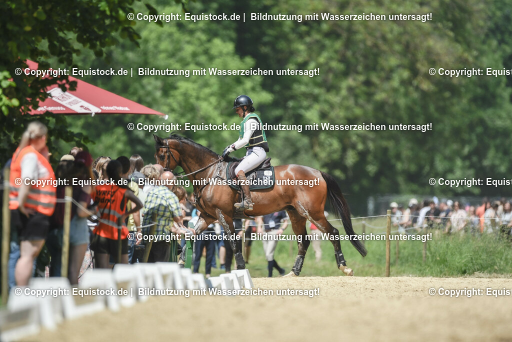 TP5_1376 | equistock