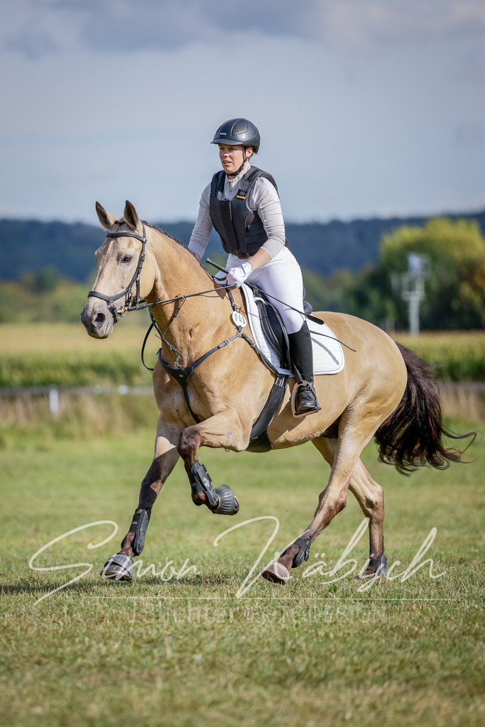 20250905-_3LI1139 | Tierfotografie Pferde, Hunde, Katzen, Haustiere.
Turnierfotografie Reitturniere, Reiten, Springreiten, Dressur in Hanau, dem Main-Kinzig-Kreis und dem Rhein-Main- Gebiet um Frankfurt