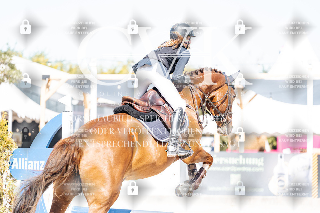 CK905204 | Turnierfotografie Pferdefotografie Trier Rheinland-Pfalz Pferdesport Reitsport Tierfotografie Sportfotografie Pferdevideo Pferdevideografie Equestrianvideography equestrianphotography  - Realisiert mit Pictrs.com