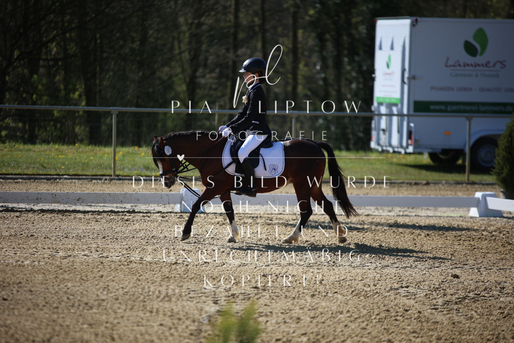 IMGT9476 | pl-fotografie