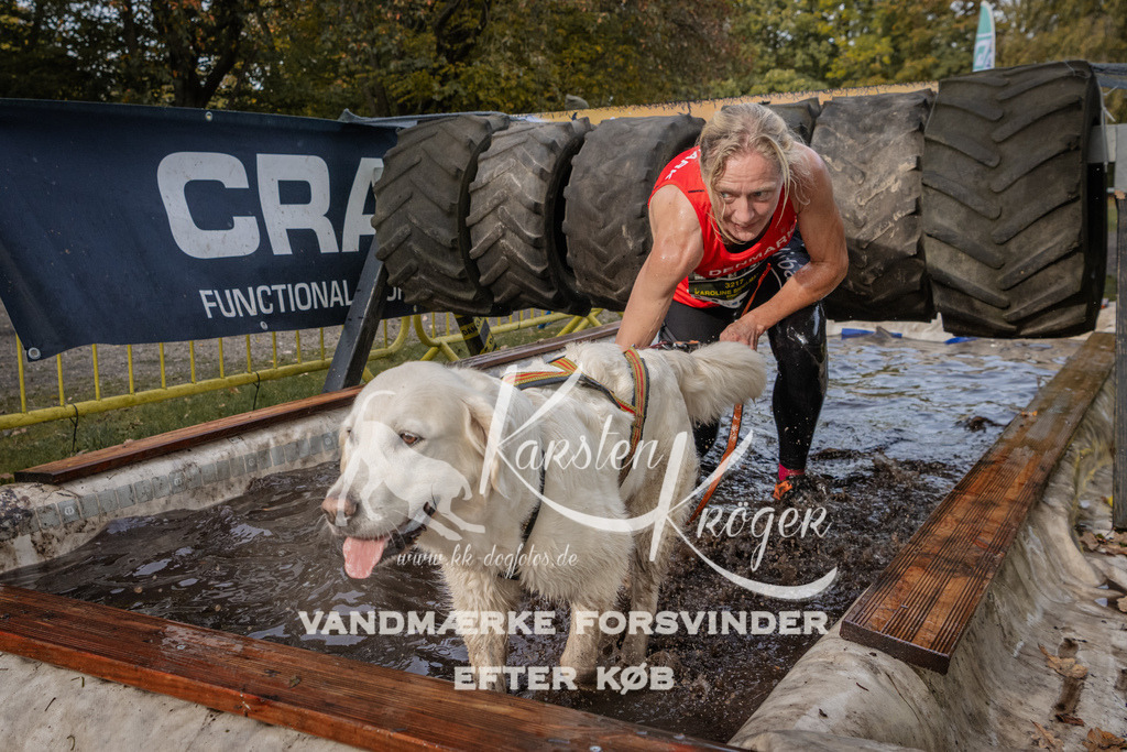 1439_ZZ94734 | kk-dogfotos