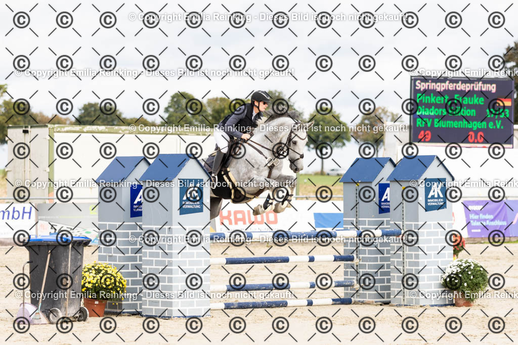 CL5A9609 | Emilia Reinking Fotografie - Realisiert mit Pictrs.com