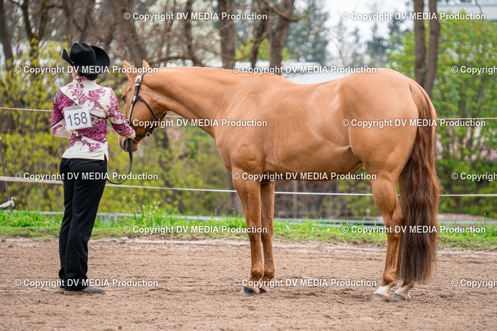 BA300164 | dv-media-shop - Realisiert mit Pictrs.com