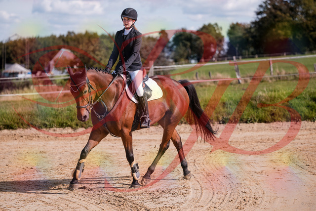 2026_10_03_Siefer-Hof_143554_Z81_05232600 | Professionelle Reitsport-, Turnier- und Eventfotografie von Robert Broda. Galerien mit ausgewählten und bearbeiteten Bildern direkt online ansehen und bestellen.