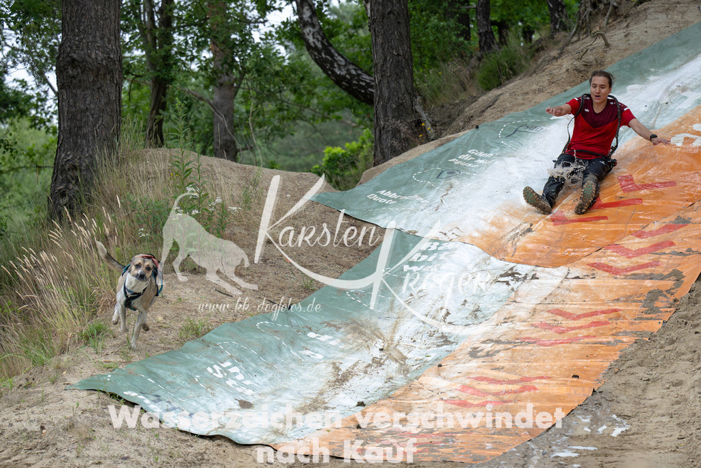0912_ZZ90198-Verbessert-RR | kk-dogfotos