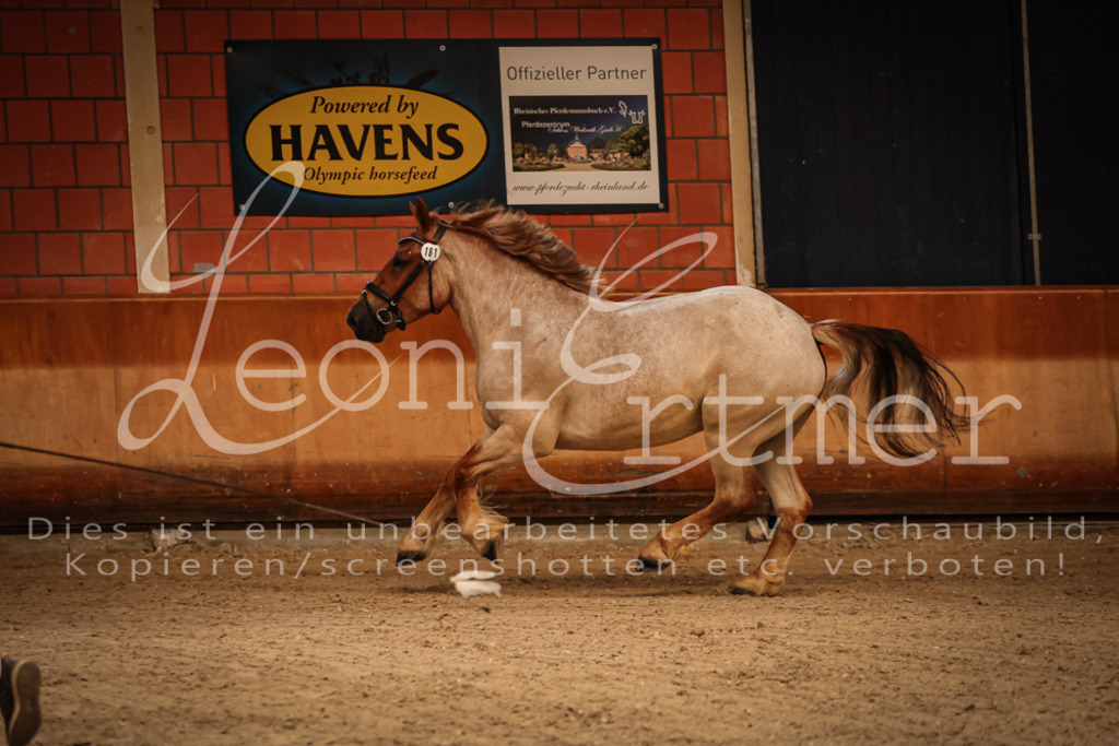 SaFL00074 | Leoni Ertmer Photography - Realisiert mit Pictrs.com