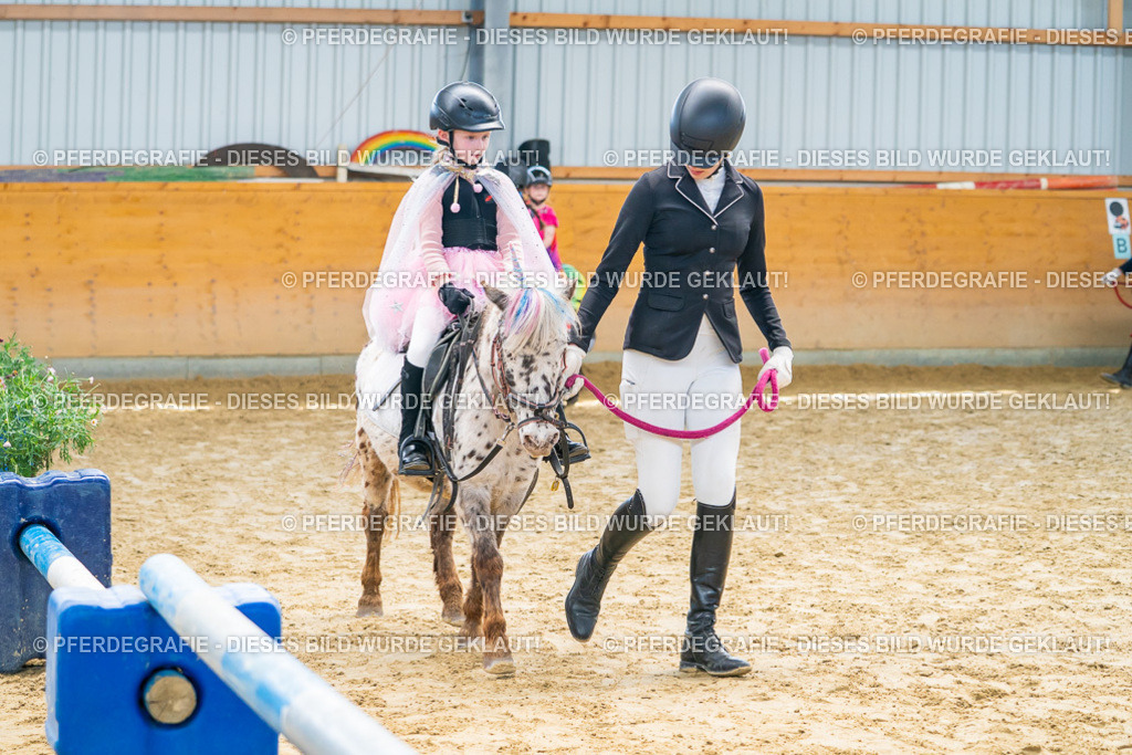 DSC00508 | Pferdegrafie