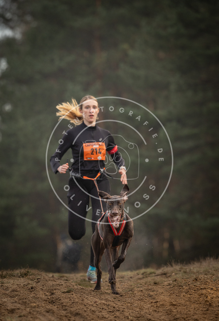 Pfotenfotografie_DV3A5223 | Hundefotografie, Tierfotograf, Pfotenfotografie, Fotoshooting Hund, Hunde Portrait, Hundesport, Hundeportraits, Heideshooting, Hunde, Sportfotograf, Hundefotograf, Turnierhundsport, THS,  - Realisiert mit Pictrs.com