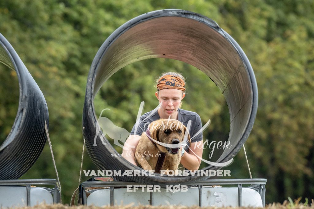 1128_ZZ94273 | kk-dogfotos