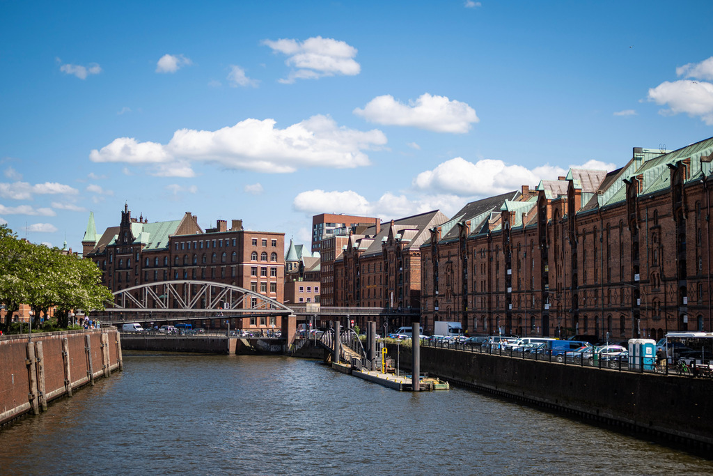 _DSC3394 | kaefersammler_roy - Realisiert mit Pictrs.com