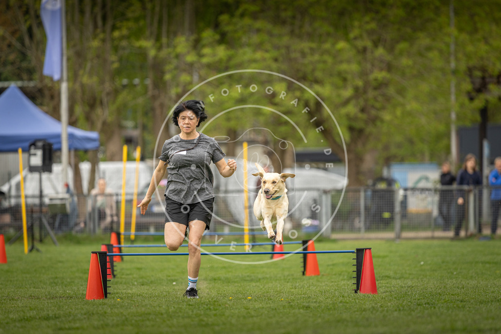 Pfotenfotografie_DV3A8617 | Hundefotografie, Tierfotograf, Pfotenfotografie, Fotoshooting Hund, Hunde Portrait, Hundesport, Hundeportraits, Heideshooting, Hunde, Sportfotograf, Hundefotograf, Turnierhundsport, THS,  - Realisiert mit Pictrs.com
