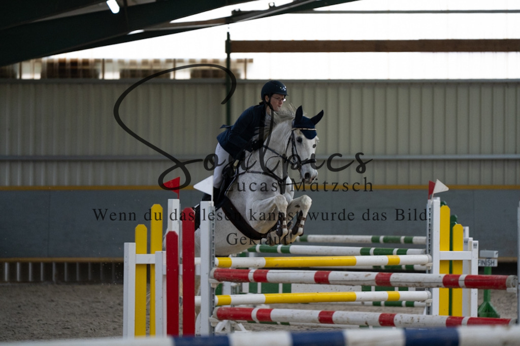 A7V08842 | Pferdefotograf