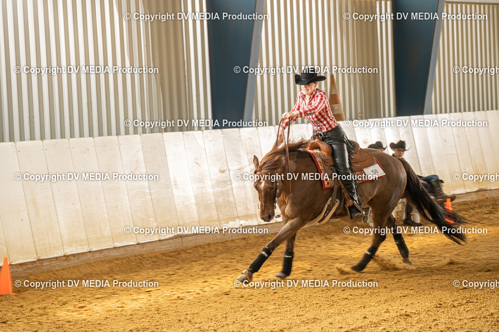 MIT01036 | dv-media-shop - Realisiert mit Pictrs.com