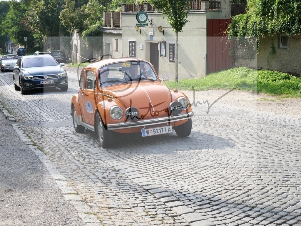 P1000128 | Gerhard Witt