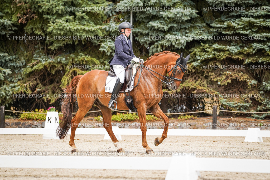 DSC04956 | Pferdegrafie