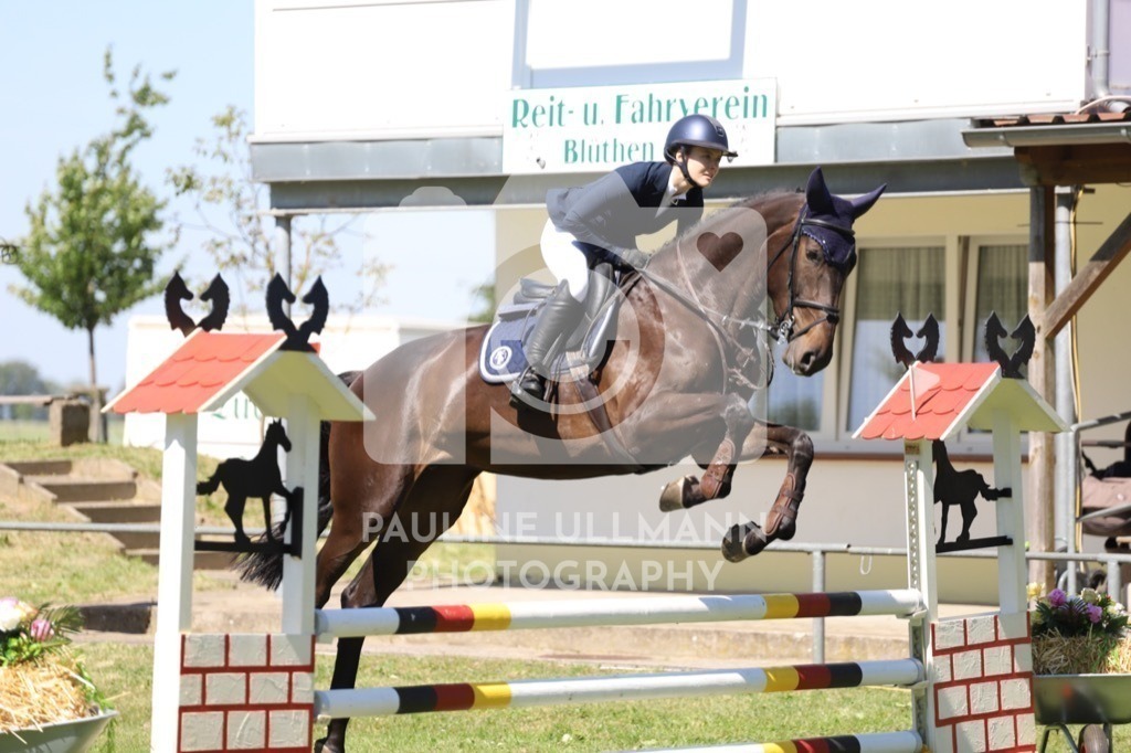 IMG_6118 | Pauline Ullmann Photography - Realisiert mit Pictrs.com