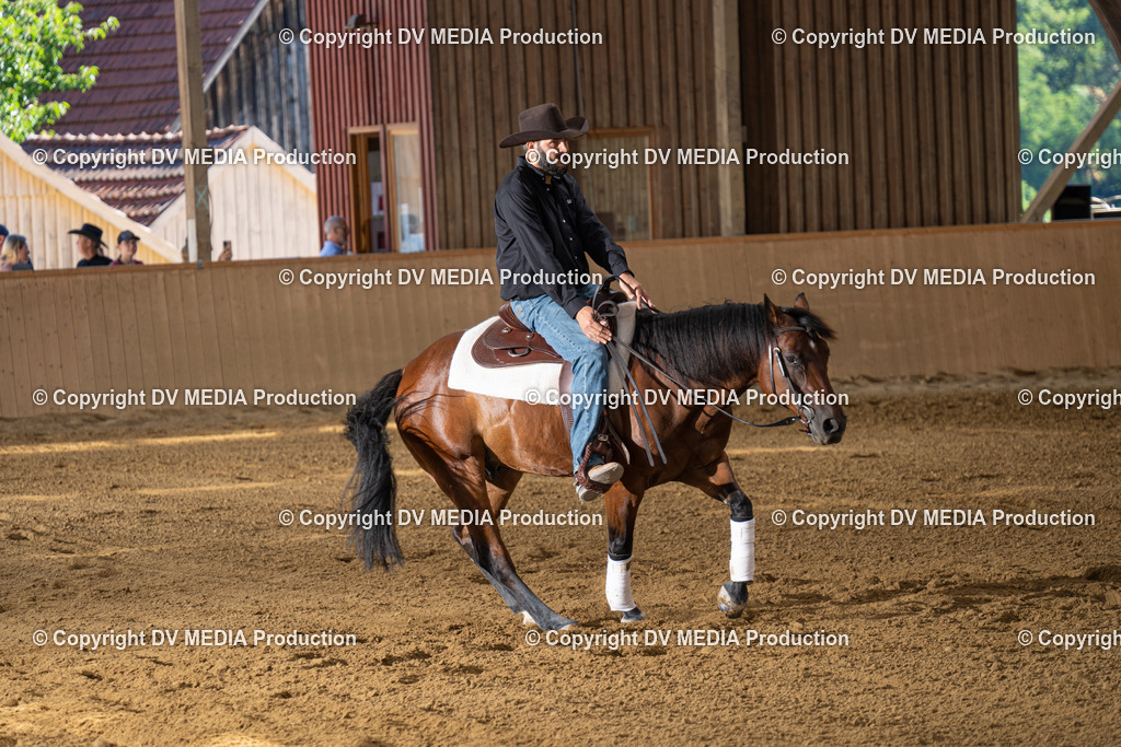 DSC00131 | dv-media-shop - Realisiert mit Pictrs.com