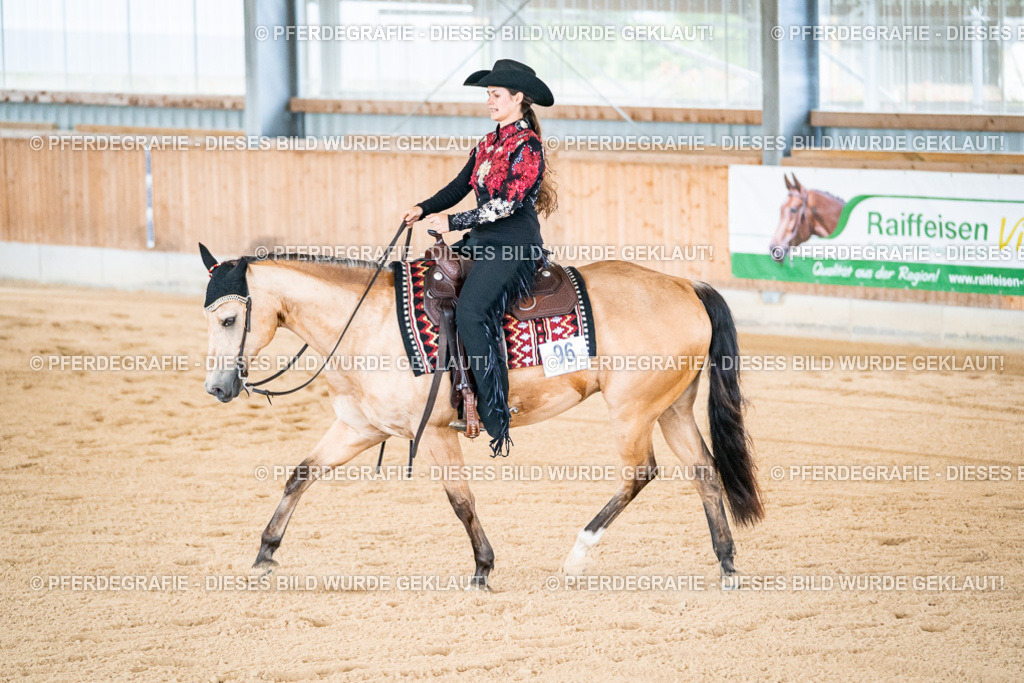 DSC01766 | Pferdegrafie