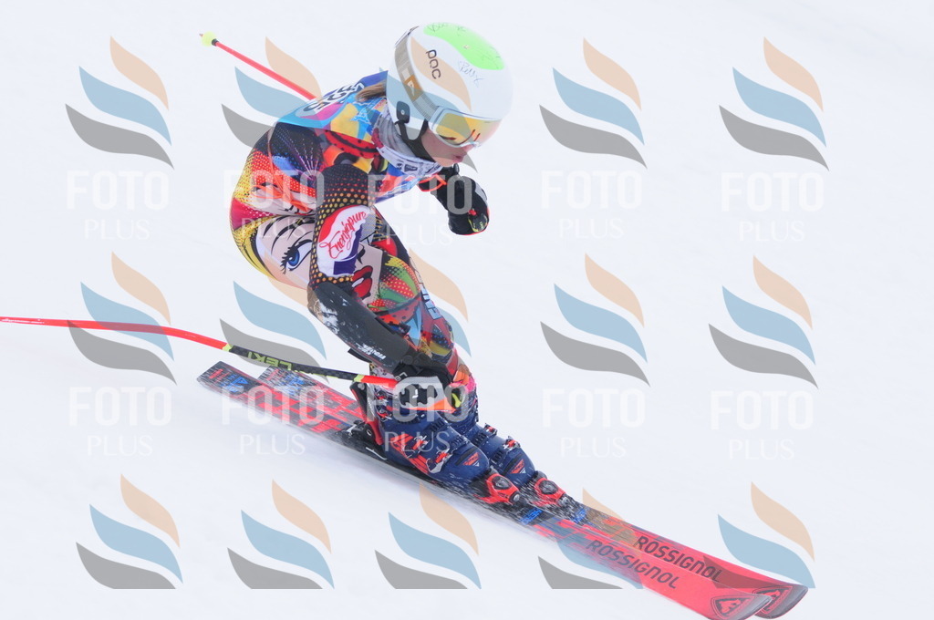 C3477 | holidayphoto