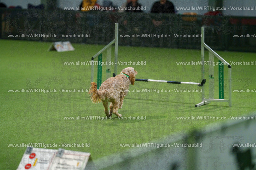7R504486 | Professionelle Tierfotografie in Mönchengladbach von Daniel Wirth (allesWIRTHgut). Liebevolle & natürliche Bilder von Hunden & Katzen für unvergessliche Erinnerungen.