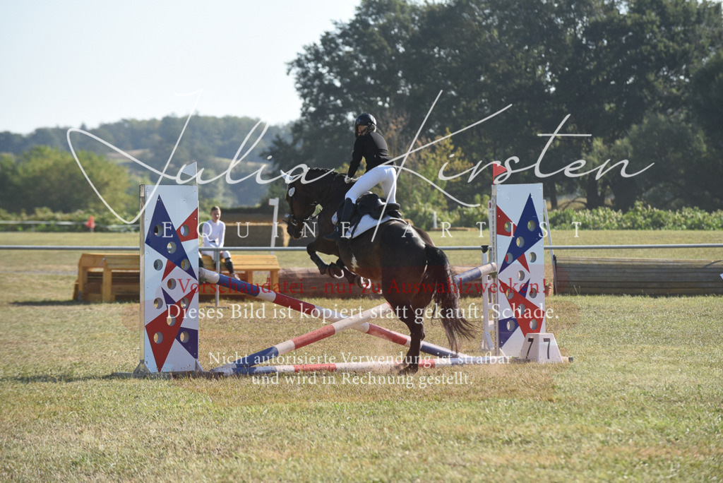 DSC_5743 | Pferde- und Turnierfotografie in Westsachsen. Pferdeportraits, Auftragszeichnungen und intuitive Kunst.