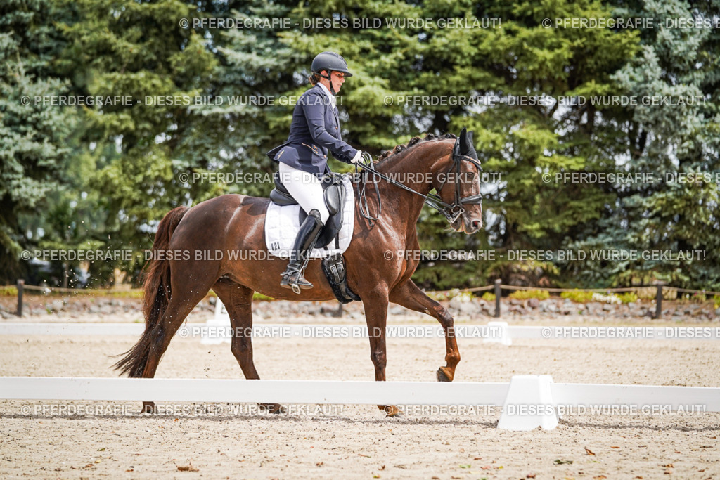 DSC03972 | Pferdegrafie