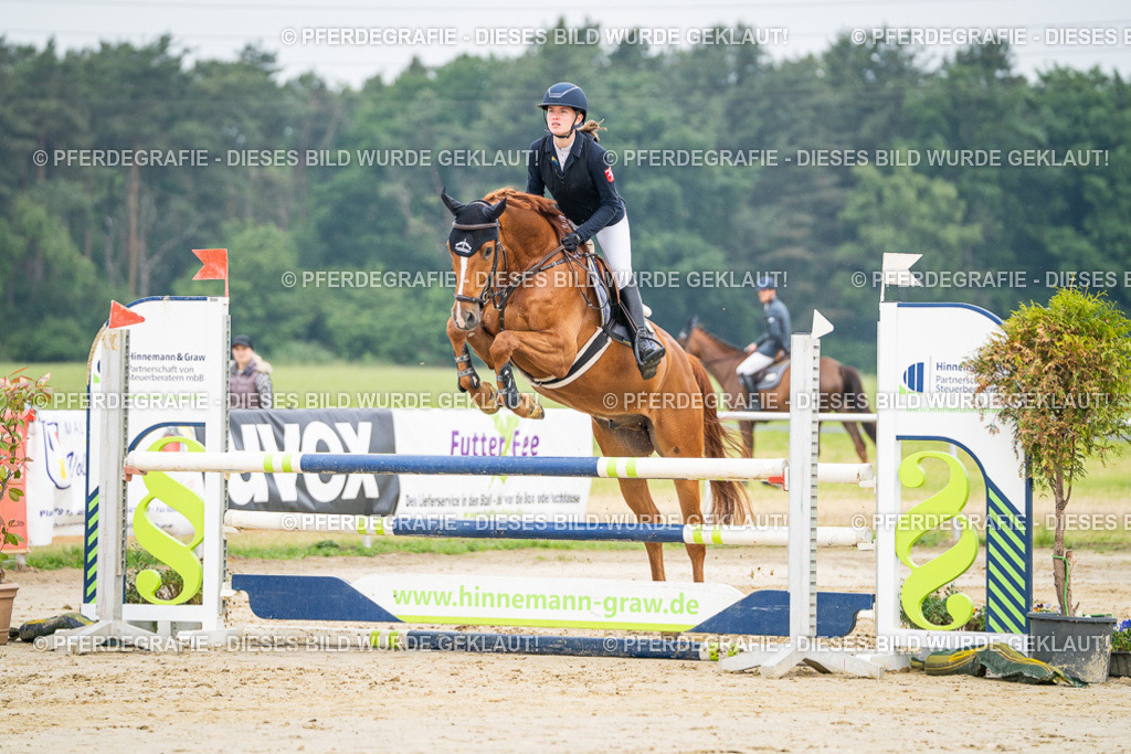 DSC09479 | Pferdegrafie