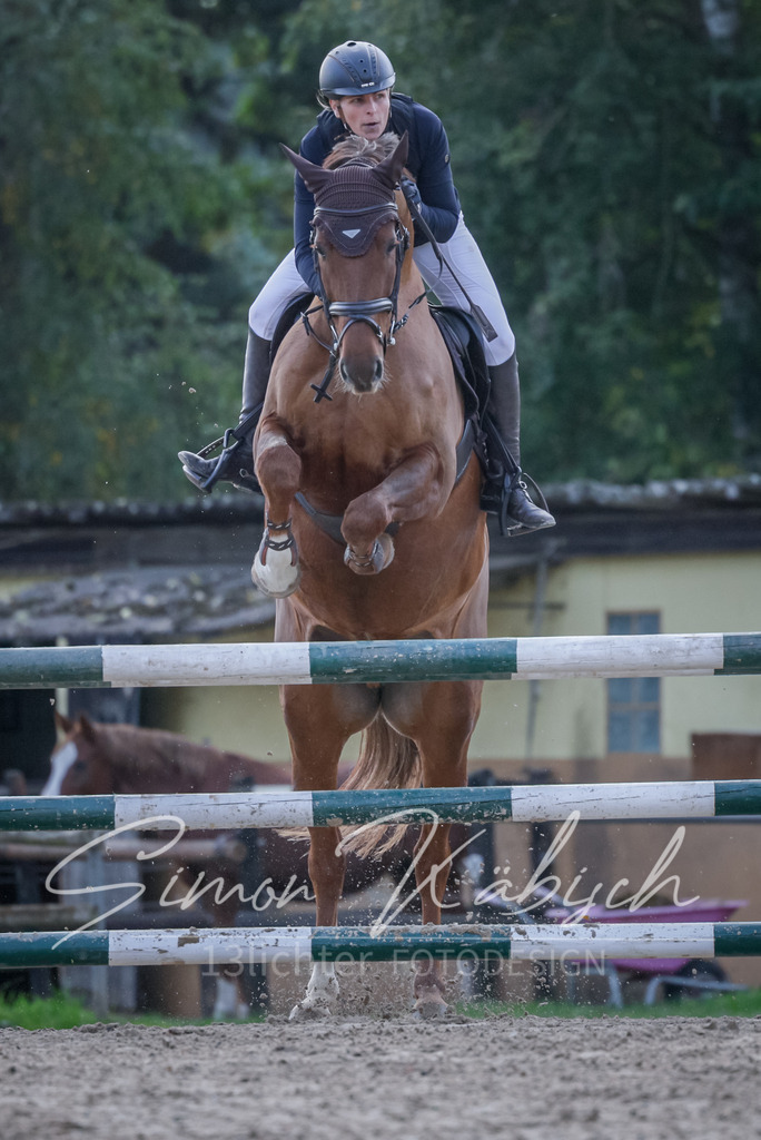 20251012-_3LI5598 | Tierfotografie Pferde, Hunde, Katzen, Haustiere.
Turnierfotografie Reitturniere, Reiten, Springreiten, Dressur in Hanau, dem Main-Kinzig-Kreis und dem Rhein-Main- Gebiet um Frankfurt
