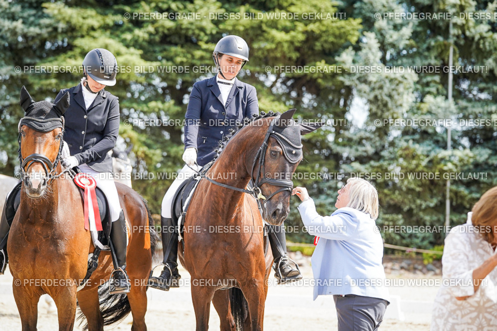 DSC02260 | Pferdegrafie