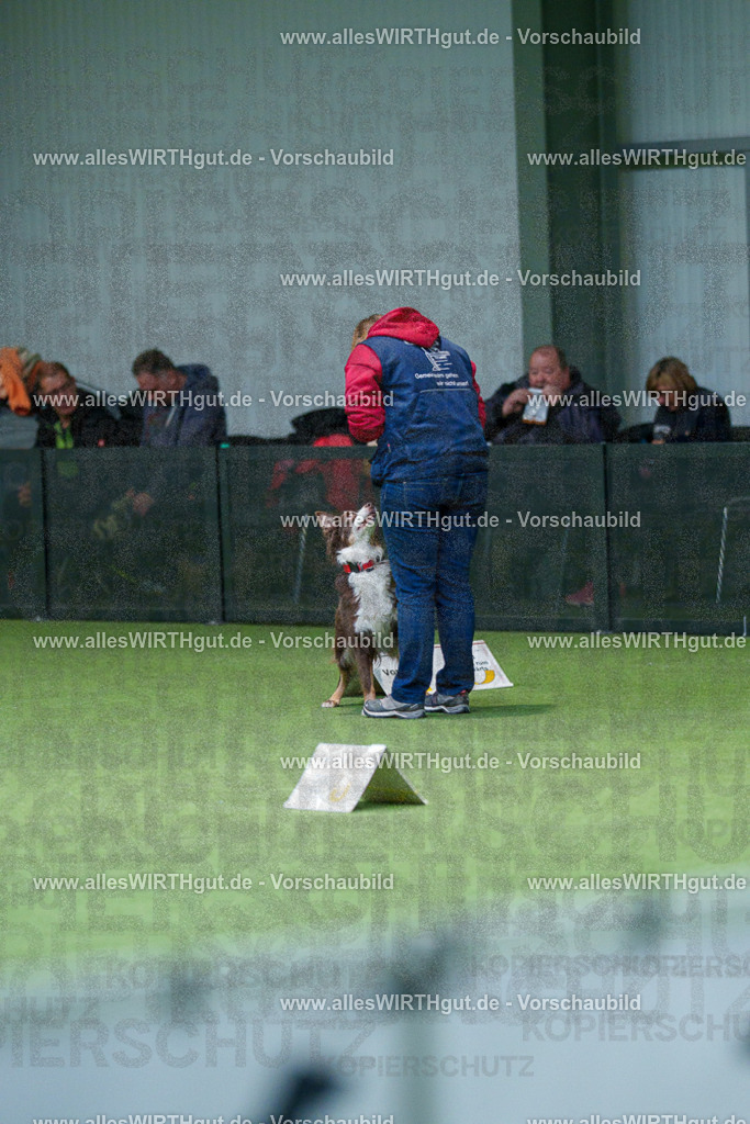 7R506149 | Professionelle Tierfotografie in Mönchengladbach von Daniel Wirth (allesWIRTHgut). Liebevolle & natürliche Bilder von Hunden & Katzen für unvergessliche Erinnerungen.