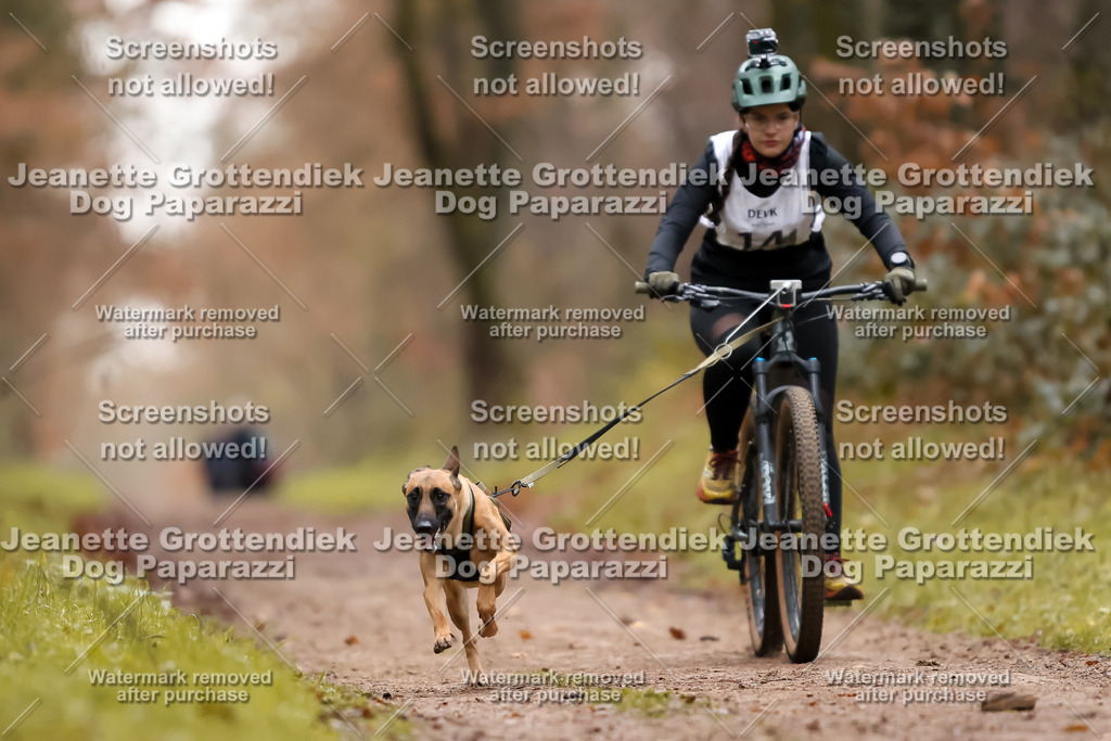 Dog Paparazzi - Speedhunter Mannheim  2025-40 | Dog Paparazzi Jeanette Grottendiek Fotografie & Videografie