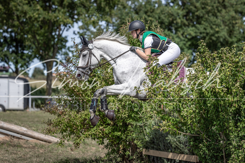 20250907-_3LI0691 | Tierfotografie Pferde, Hunde, Katzen, Haustiere.
Turnierfotografie Reitturniere, Reiten, Springreiten, Dressur in Hanau, dem Main-Kinzig-Kreis und dem Rhein-Main- Gebiet um Frankfurt