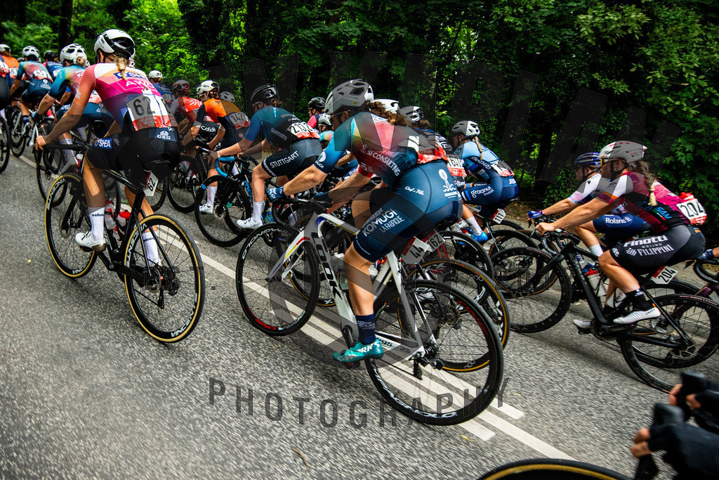 _DSC4809 | Drew Kaplan Photography