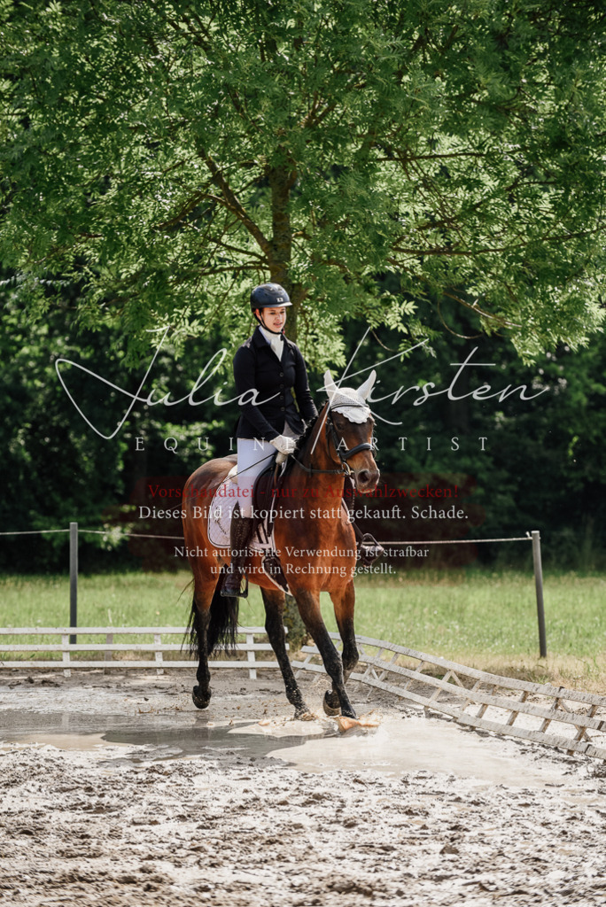 DSC_9822 | Pferde- und Turnierfotografie in Westsachsen. Pferdeportraits, Auftragszeichnungen und intuitive Kunst.