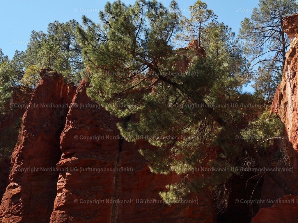 IMG_2937 | OLYMPUS DIGITAL CAMERA          - Realisiert mit Pictrs.com