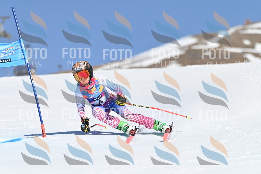 BGV_7548 | holidayphoto