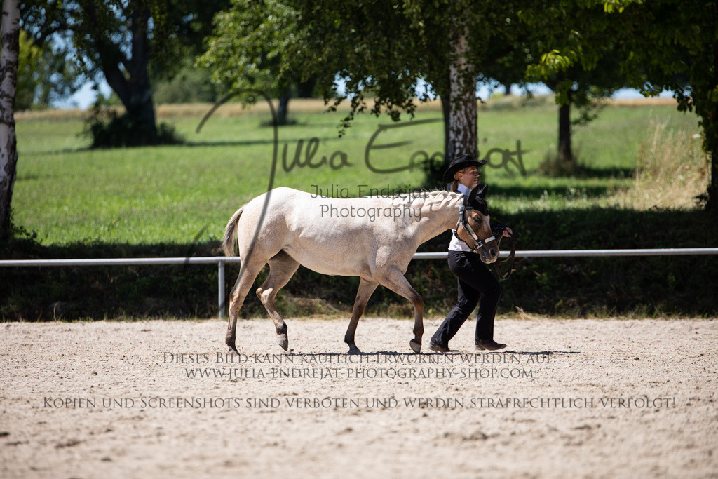 20220702-JuliaEndrejatPhotography-1330 | Julia Endrejat Photography