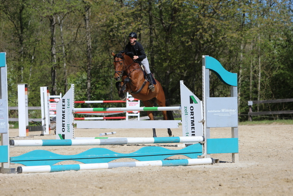 DL2Q3142 | Willkommen bei Brunnmayr - Design & Fotografie – Ihrem Spezialisten für Reitturniere und Pferdeveranstaltungen in Oberösterreich, Salzburg und Bayern! Seit über 17 Jahren sind wir leidenschaftlich dabei.