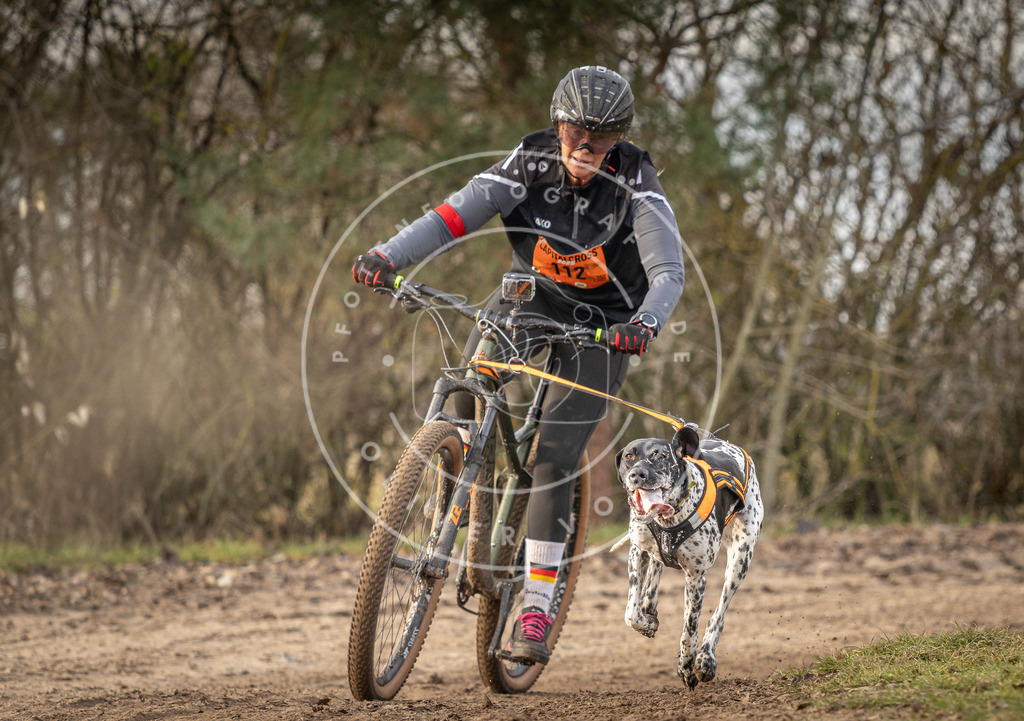 Pfotenfotografie_DV3A7874 | Hundefotografie, Tierfotograf, Pfotenfotografie, Fotoshooting Hund, Hunde Portrait, Hundesport, Hundeportraits, Heideshooting, Hunde, Sportfotograf, Hundefotograf, Turnierhundsport, THS,  - Realisiert mit Pictrs.com