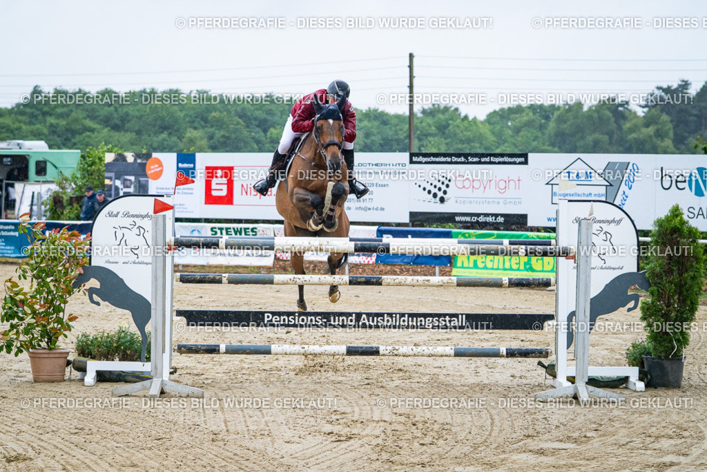 DSC09900 | Pferdegrafie