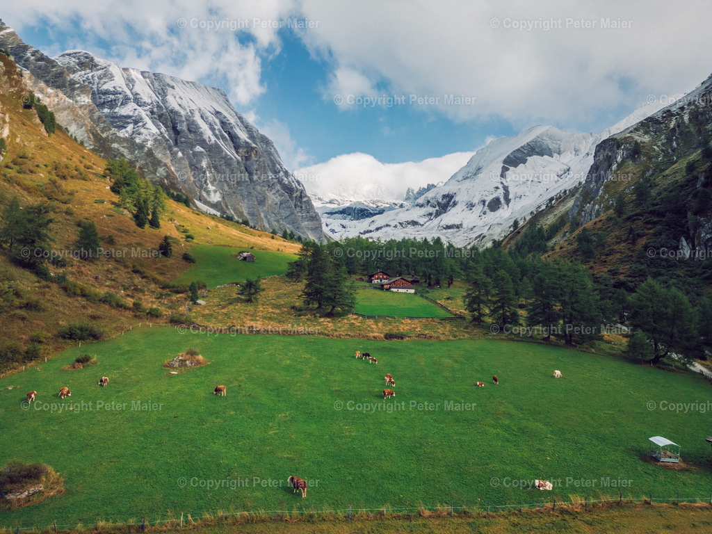 Kals_Herbst-8 | piet_flosse