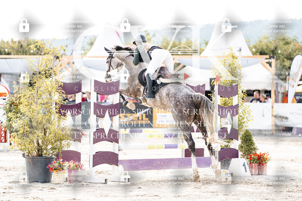 CK906594 | Turnierfotografie Pferdefotografie Trier Rheinland-Pfalz Pferdesport Reitsport Tierfotografie Sportfotografie Pferdevideo Pferdevideografie Equestrianvideography equestrianphotography  - Realisiert mit Pictrs.com